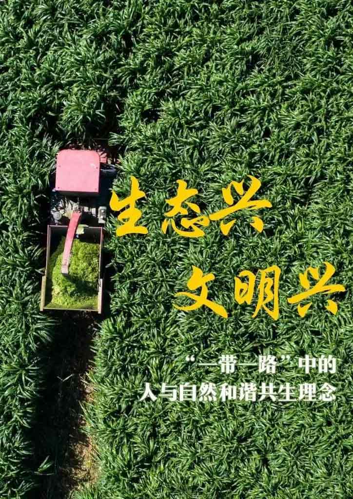 “一帶一路”高峰論壇丨生態(tài)興 文明興，“這是一條綠色可持續(xù)發(fā)展之路”