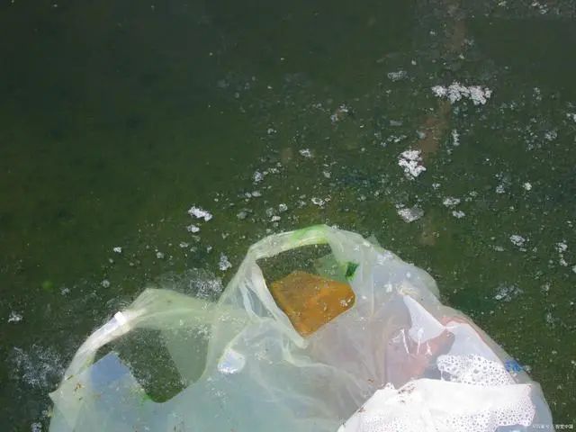 mvr蒸發(fā)器